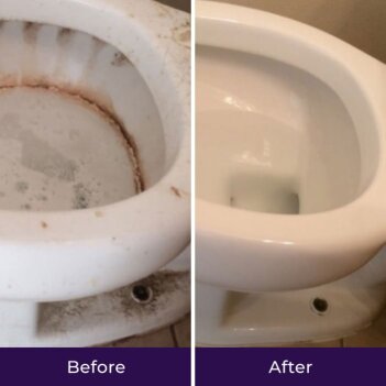 FoxiClean image